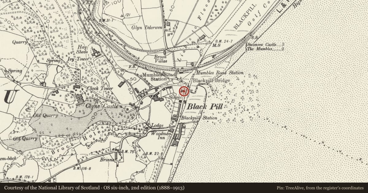 Ordnance Survey six-inch map, 2nd edition (1888–1913) covering the location of 74 Mumbles Road, Swansea, with a pin at the register's coordinates