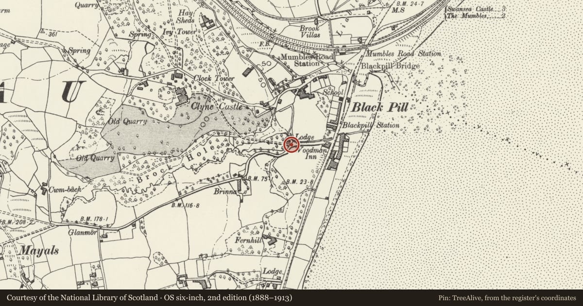 Ordnance Survey six-inch map, 2nd edition (1888–1913) covering the location of Gate Screen at Clyne Lodge, Mumbles, Swansea, with a pin at the register's coordinates