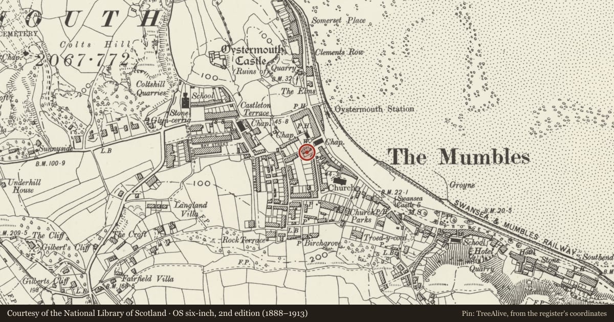Ordnance Survey six-inch map, 2nd edition (1888–1913) covering the location of Oystermouth Library, Mumbles, Swansea, with a pin at the register's coordinates