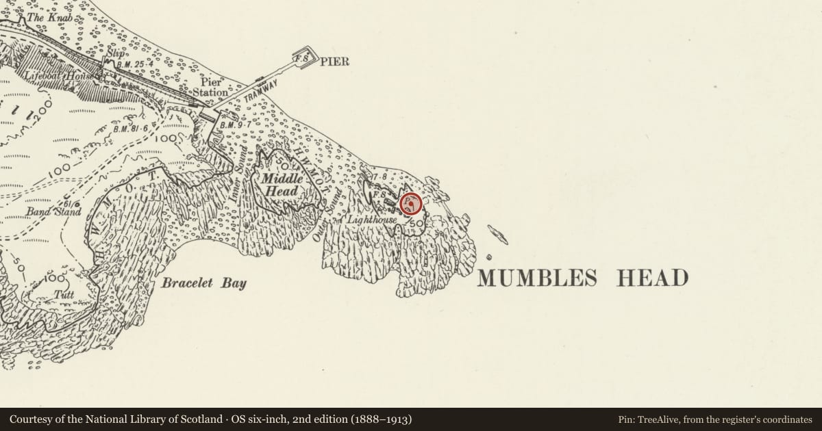Ordnance Survey six-inch map, 2nd edition (1888–1913) covering the location of Gun Emplacement on NE side of Mumbles Lighthouse, Swansea, with a pin at the register's coordinates