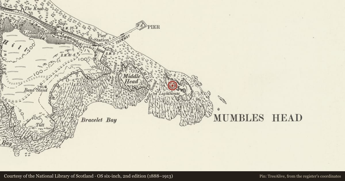 Ordnance Survey six-inch map, 2nd edition (1888–1913) covering the location of Magazine on NW side of Mumbles Lighthouse, Swansea, with a pin at the register's coordinates