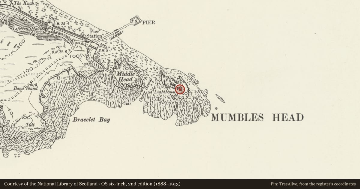 Ordnance Survey six-inch map, 2nd edition (1888–1913) covering the location of Mumbles Battery, Swansea, with a pin at the register's coordinates