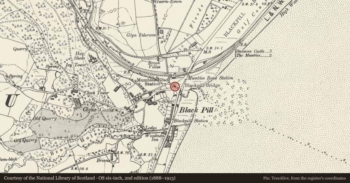 Ordnance Survey six-inch map, 2nd edition (1888–1913) covering the location of Bridge over River Clyne known as 'Roman Bridge' (partly in Sketty community), Mumbles, Swansea, with a pin at the register's coordinates