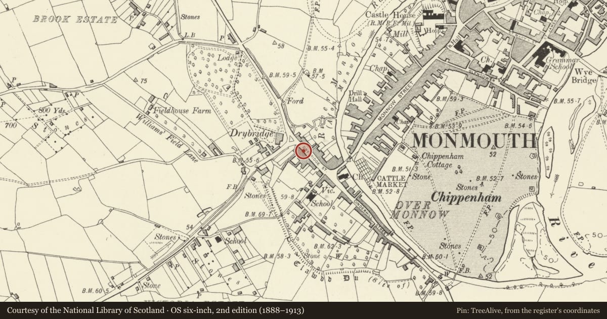Ordnance Survey six-inch map, 2nd edition (1888–1913) covering the location of 20 Drybridge Street, Monmouth, Monmouthshire, with a pin at the register's coordinates