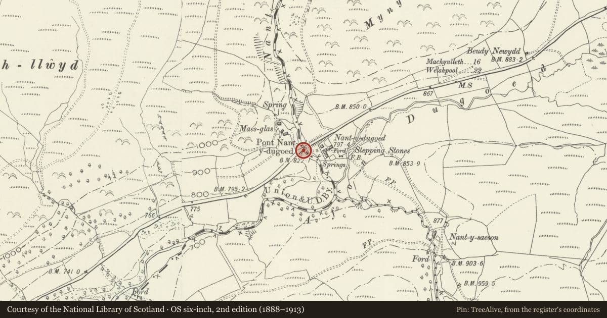 Ordnance Survey six-inch map, 2nd edition (1888–1913) covering the location of Pont Nant-y-dugoed (partly in Banwy community), Mawddwy, Gwynedd, with a pin at the register's coordinates
