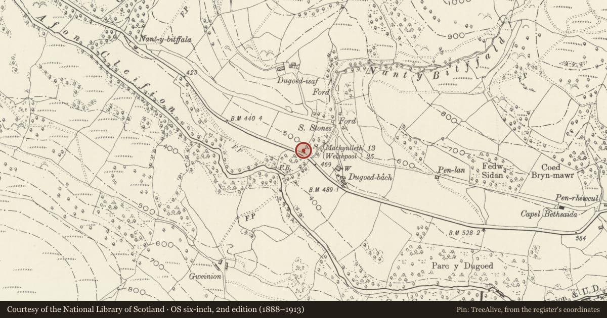 Ordnance Survey six-inch map, 2nd edition (1888–1913) covering the location of Milestone, Mawddwy, Gwynedd, with a pin at the register's coordinates