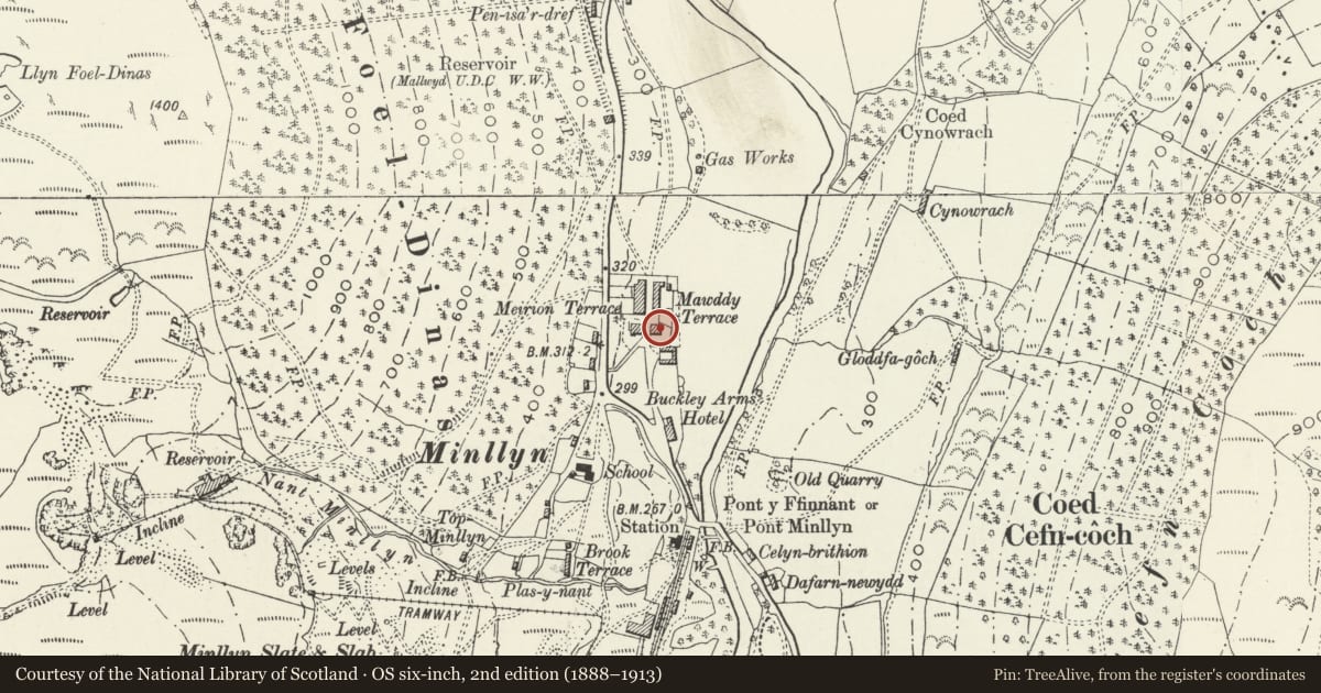 Ordnance Survey six-inch map, 2nd edition (1888–1913) covering the location of Nos 1, 2 and 3 Mawddwy Cottages, Gwynedd, with a pin at the register's coordinates
