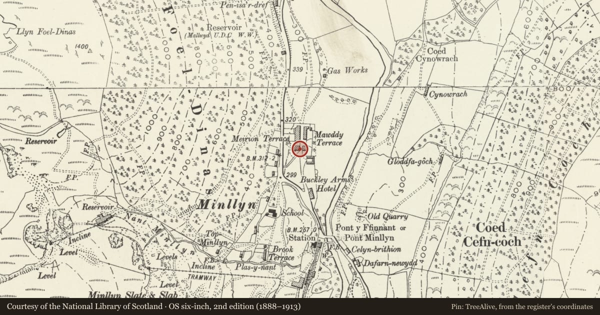 Ordnance Survey six-inch map, 2nd edition (1888–1913) covering the location of Nos 4, 5 and 6 Mawddwy Cottages, Gwynedd, with a pin at the register's coordinates