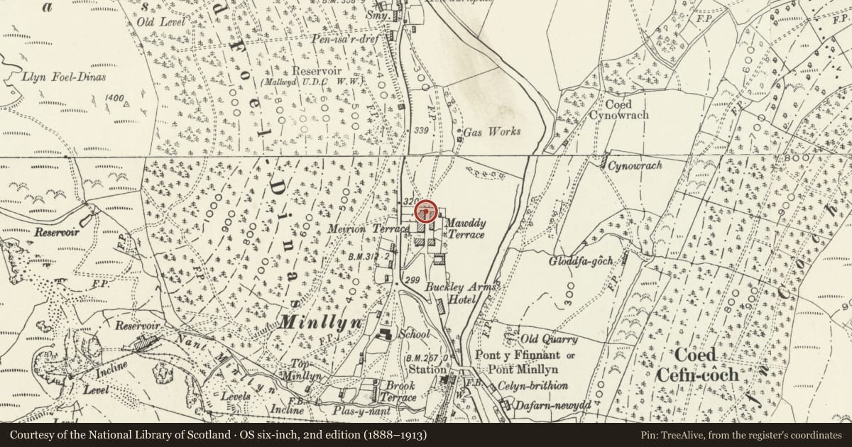 Ordnance Survey six-inch map, 2nd edition (1888–1913) covering the location of Gwynfa, Mawddwy, Gwynedd, with a pin at the register's coordinates