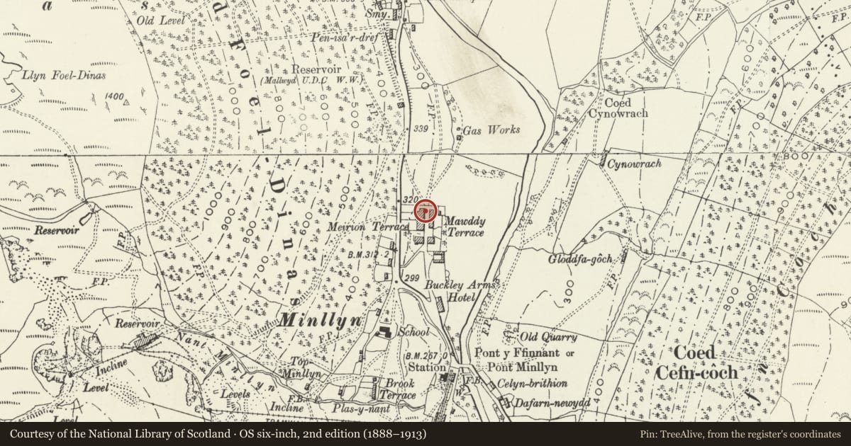 Ordnance Survey six-inch map, 2nd edition (1888–1913) covering the location of Isfryn, Mawddwy, Gwynedd, with a pin at the register's coordinates