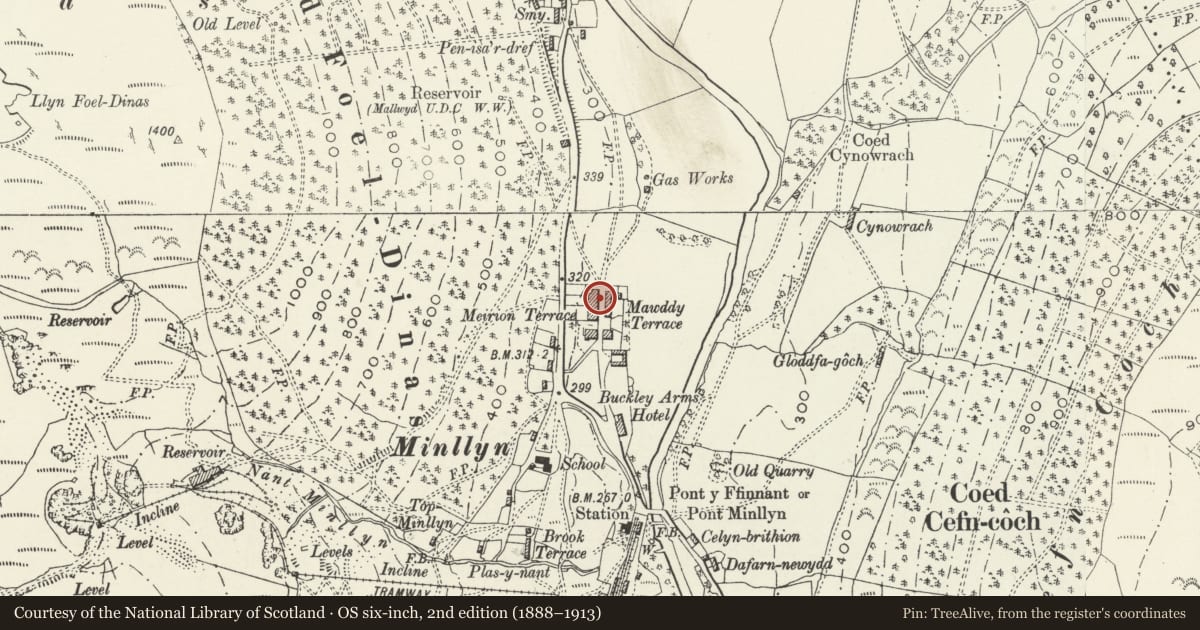 Ordnance Survey six-inch map, 2nd edition (1888–1913) covering the location of 3 Mawddwy Terrace, Gwynedd, with a pin at the register's coordinates