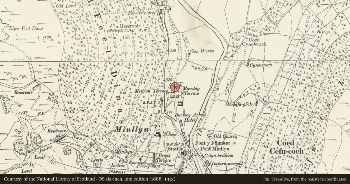 Ordnance Survey six-inch map, 2nd edition (1888–1913) covering the location of Llys Gwalia, Mawddwy, Gwynedd, with a pin at the register's coordinates
