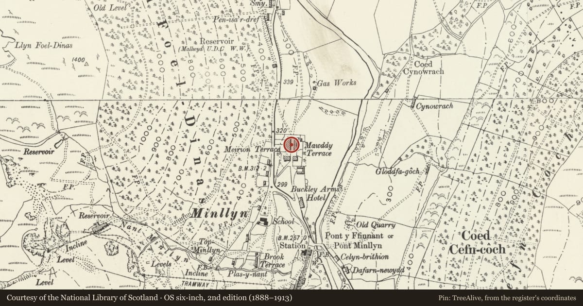 Ordnance Survey six-inch map, 2nd edition (1888–1913) covering the location of Ty Gwyn, Mawddwy, Gwynedd, with a pin at the register's coordinates