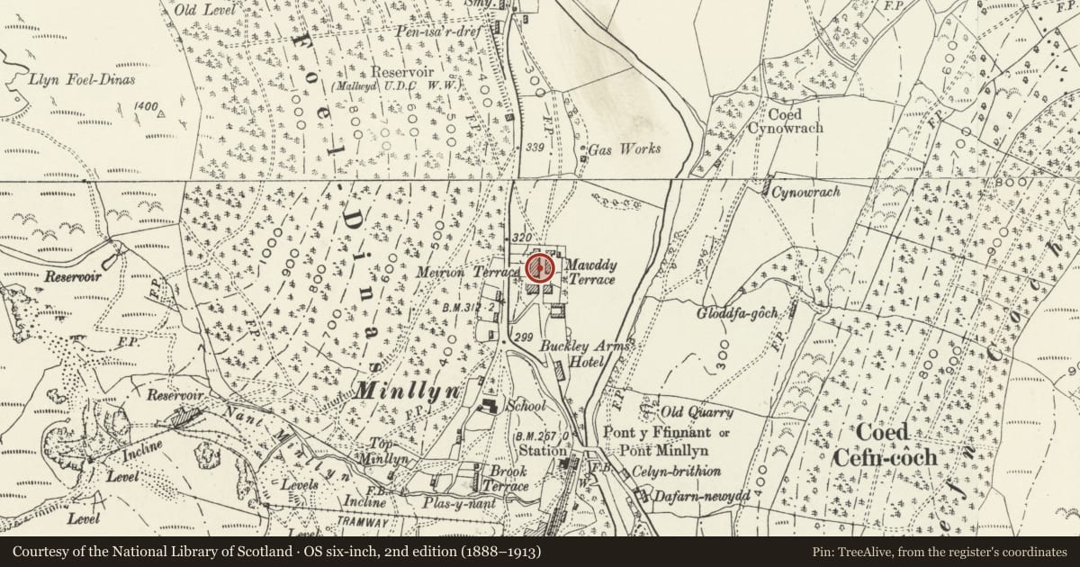 Ordnance Survey six-inch map, 2nd edition (1888–1913) covering the location of Merion House, Mawddwy, Gwynedd, with a pin at the register's coordinates