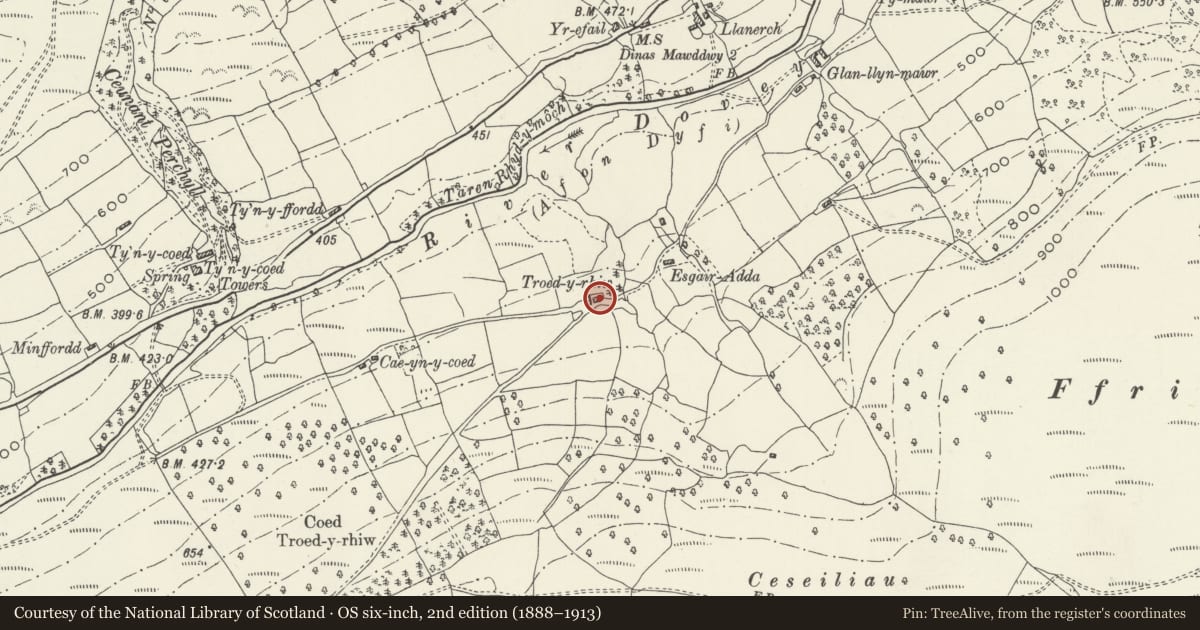 Ordnance Survey six-inch map, 2nd edition (1888–1913) covering the location of Troed-y-rhiw, Mawddwy, Gwynedd, with a pin at the register's coordinates