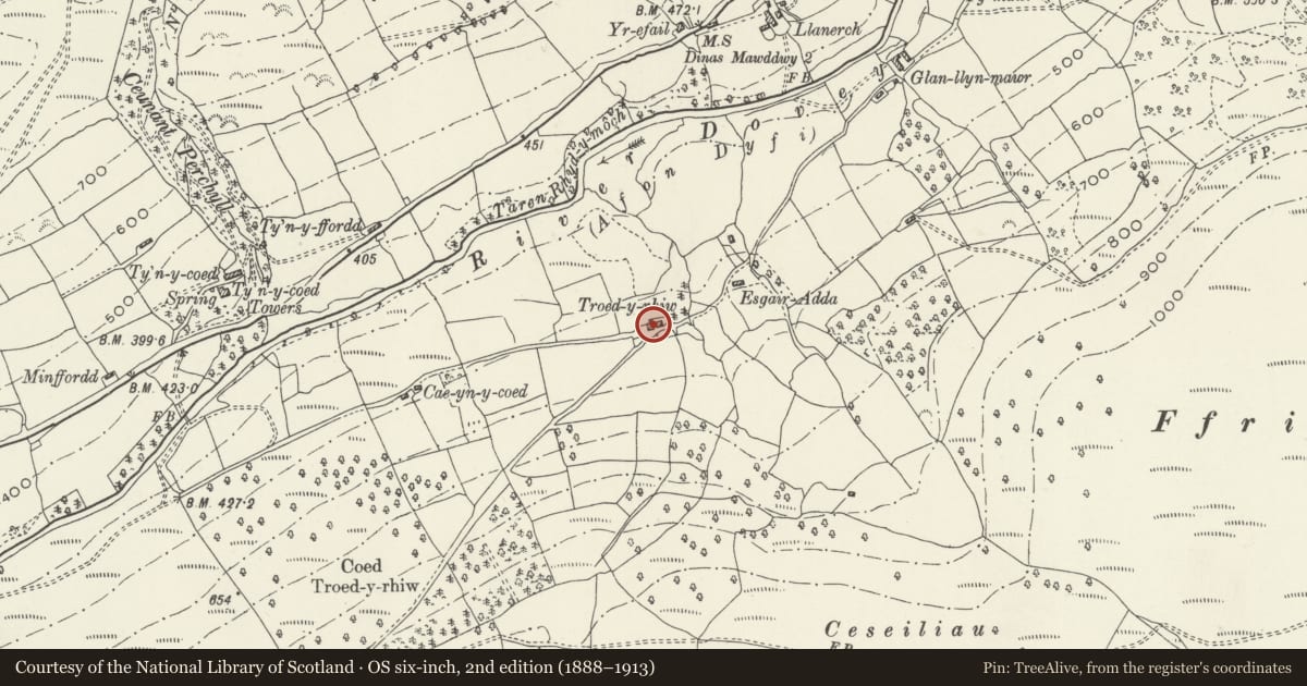 Ordnance Survey six-inch map, 2nd edition (1888–1913) covering the location of Farm building at Troed-y-rhiw, Mawddwy, Gwynedd, with a pin at the register's coordinates