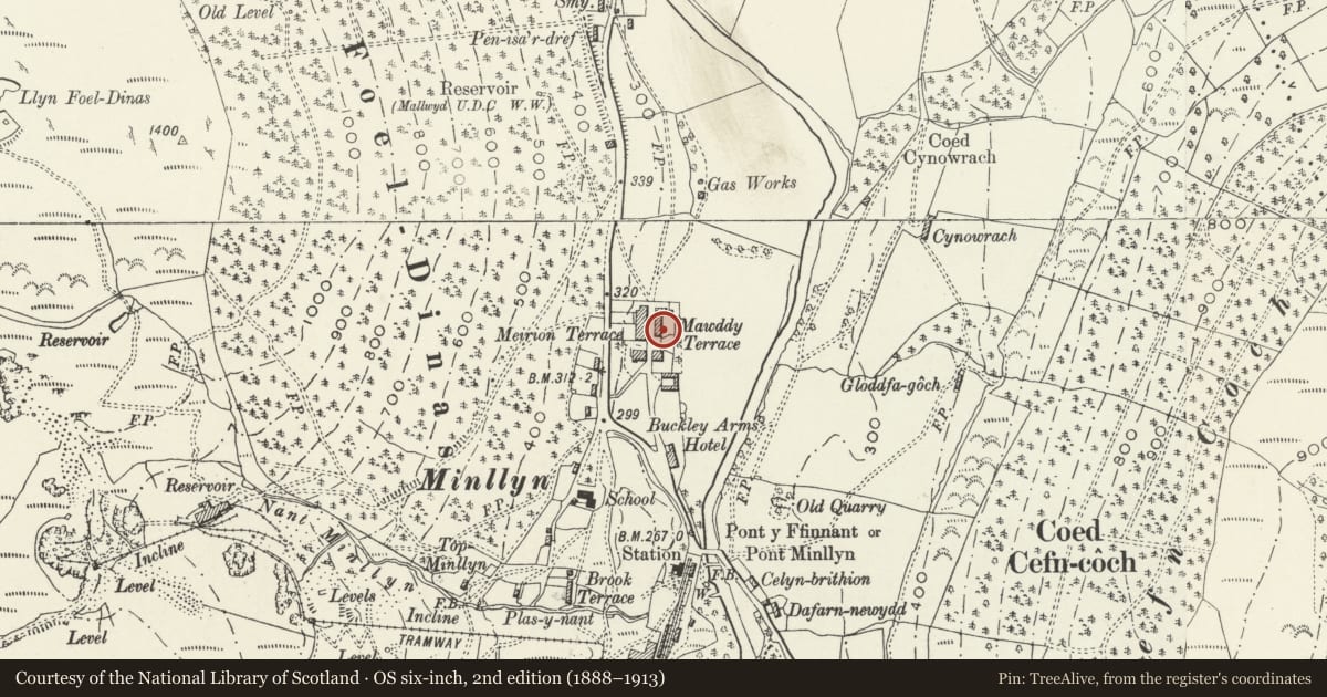 Ordnance Survey six-inch map, 2nd edition (1888–1913) covering the location of Arosfa, Mawddwy, Gwynedd, with a pin at the register's coordinates