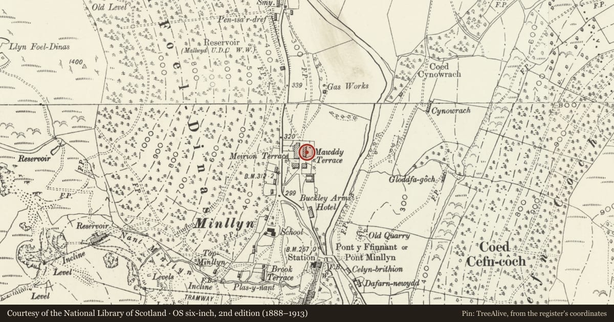Ordnance Survey six-inch map, 2nd edition (1888–1913) covering the location of 9 Mawddwy Terrace, Gwynedd, with a pin at the register's coordinates