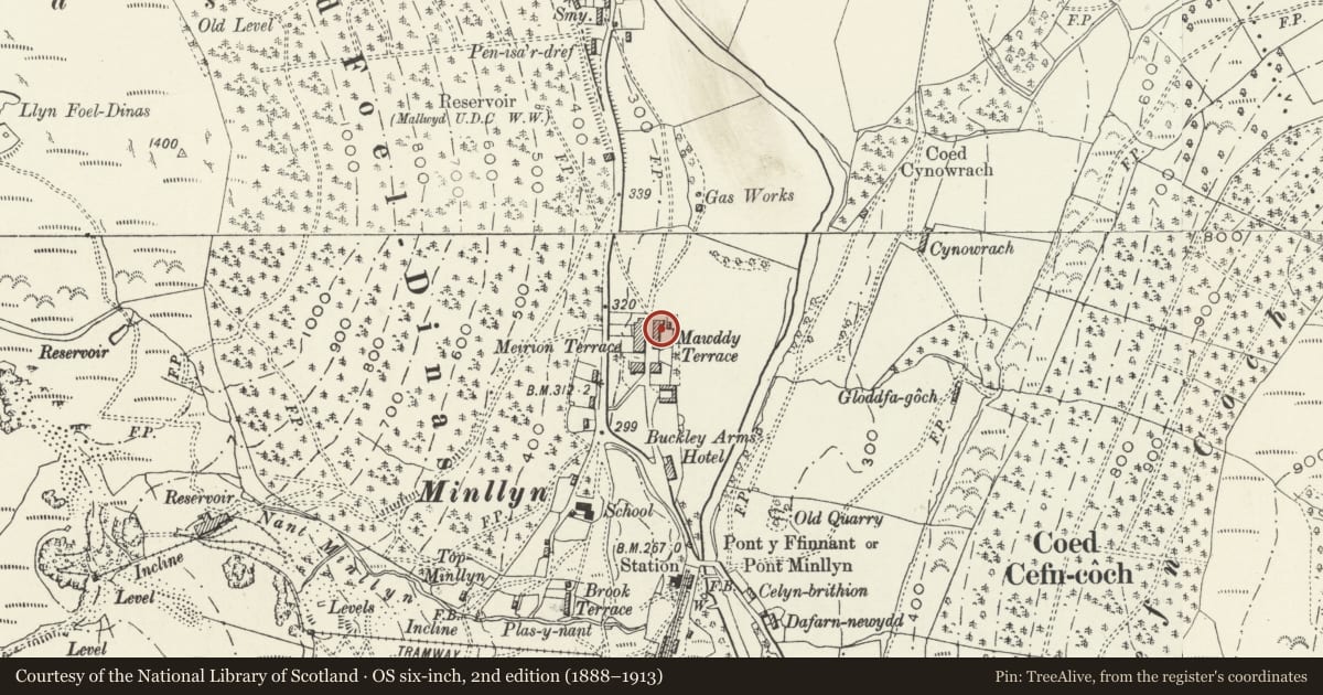 Ordnance Survey six-inch map, 2nd edition (1888–1913) covering the location of 12 Mawddwy Terrace, Gwynedd, with a pin at the register's coordinates