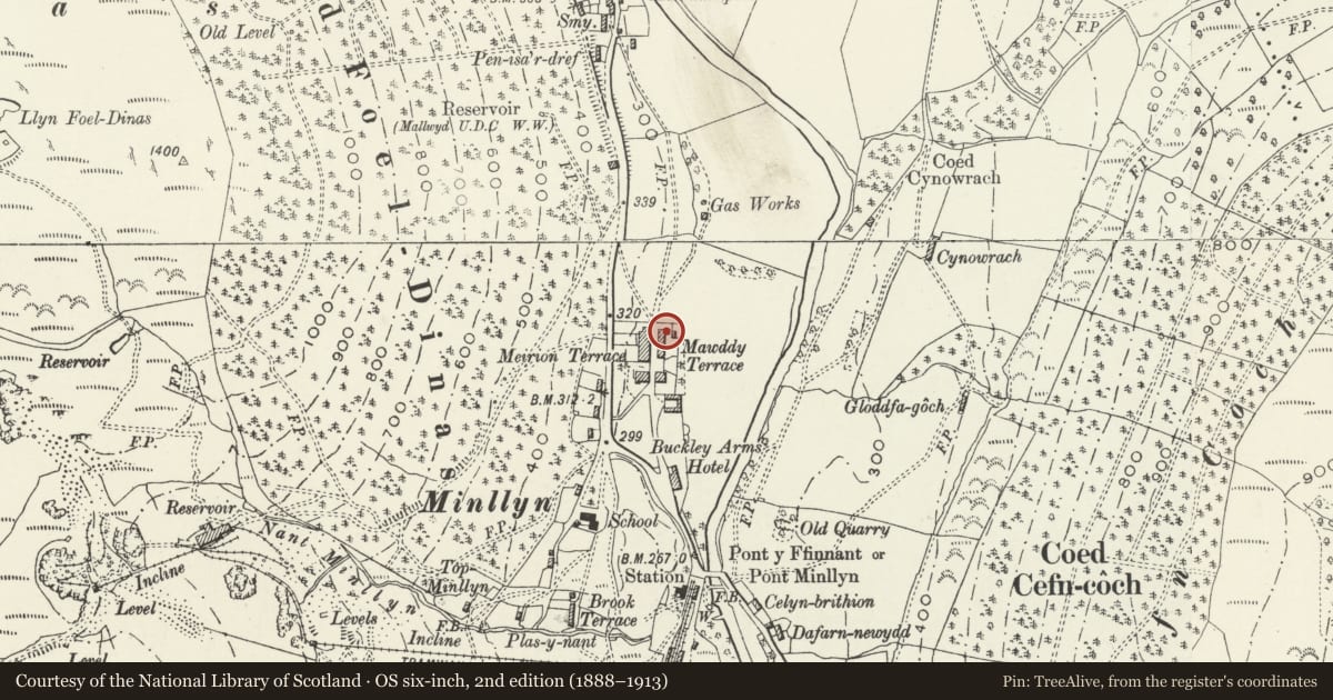 Ordnance Survey six-inch map, 2nd edition (1888–1913) covering the location of Gwelfryn, Mawddwy, Gwynedd, with a pin at the register's coordinates