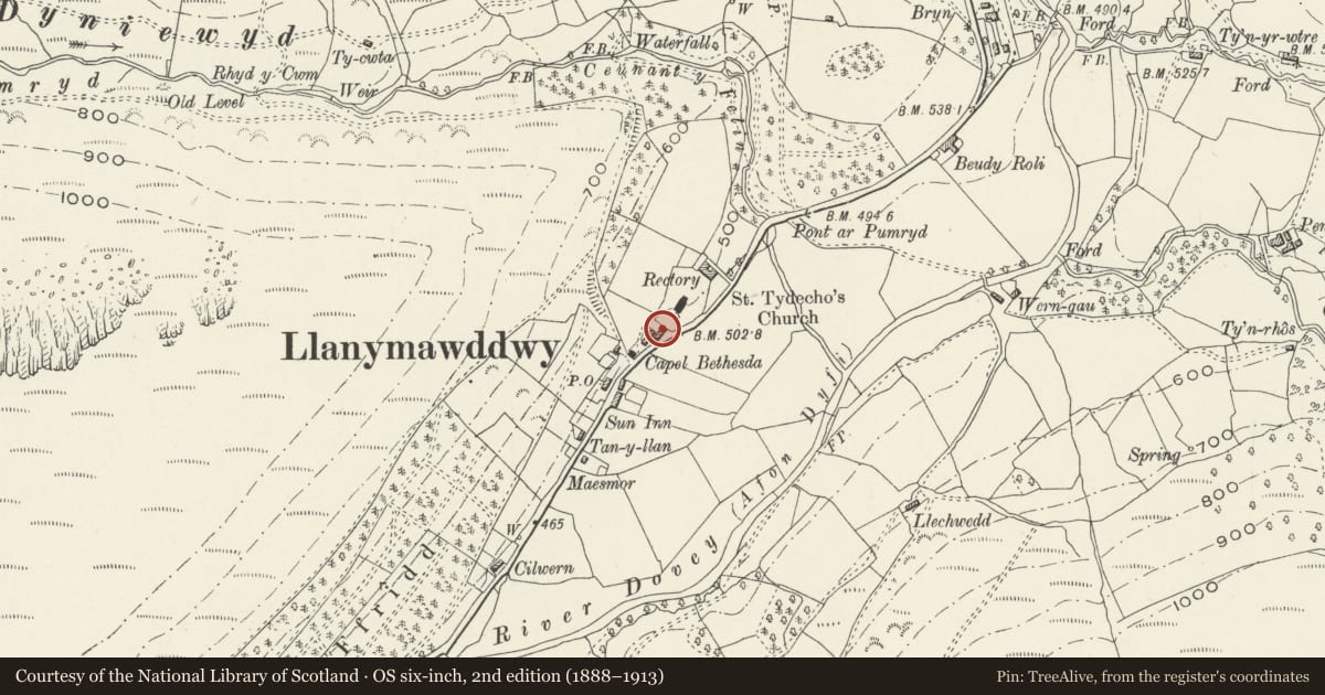 Ordnance Survey six-inch map, 2nd edition (1888–1913) covering the location of Ty-uchaf, Mawddwy, Gwynedd, with a pin at the register's coordinates