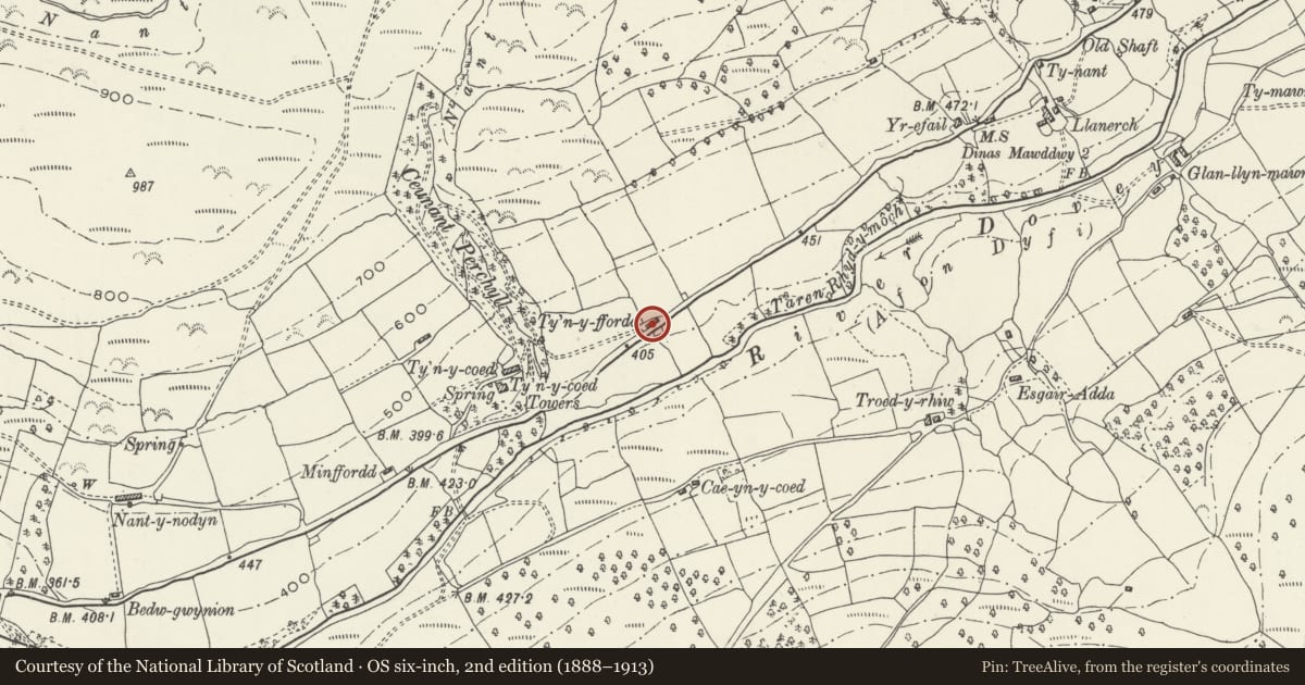 Ordnance Survey six-inch map, 2nd edition (1888–1913) covering the location of Ty'n-y-ffordd, Mawddwy, Gwynedd, with a pin at the register's coordinates