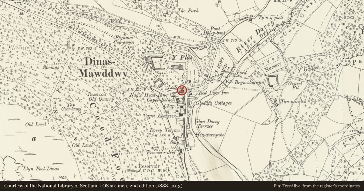 Ordnance Survey six-inch map, 2nd edition (1888–1913) covering the location of Rhydyfelin, formerly known as 1 Wyle Cop, Mawddwy, Gwynedd, with a pin at the register's coordinates