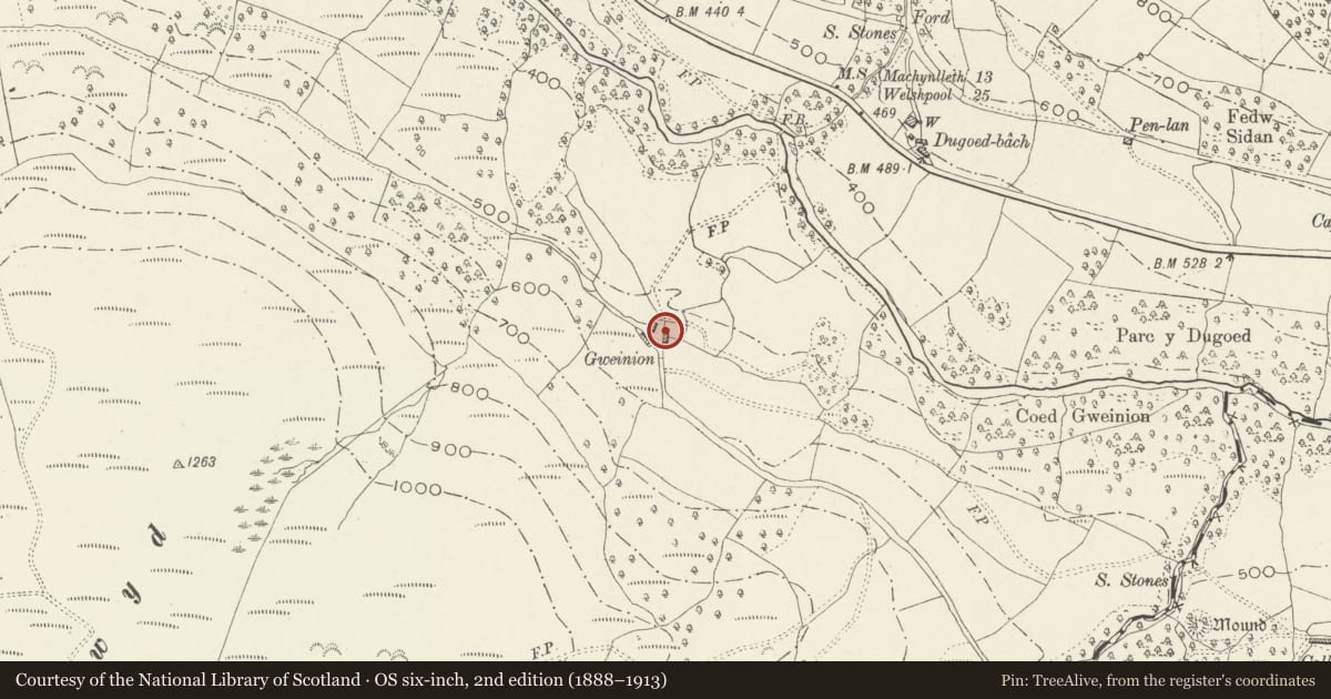Ordnance Survey six-inch map, 2nd edition (1888–1913) covering the location of Gweinion, Mawddwy, Gwynedd, with a pin at the register's coordinates
