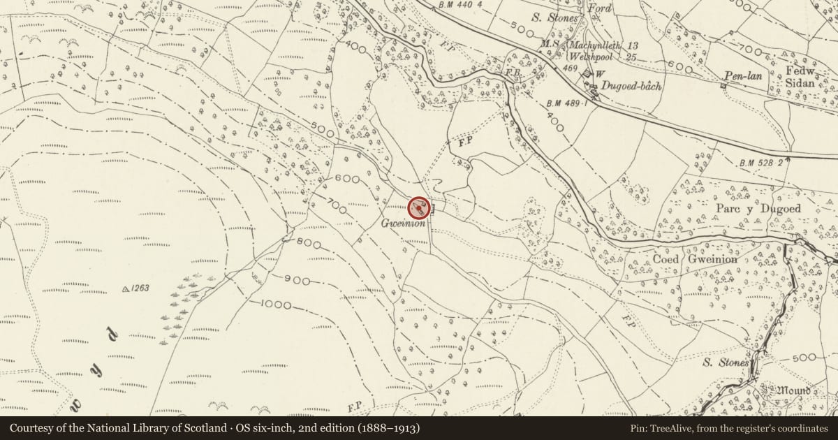 Ordnance Survey six-inch map, 2nd edition (1888–1913) covering the location of Farm building at Gweinion, Mawddwy, Gwynedd, with a pin at the register's coordinates