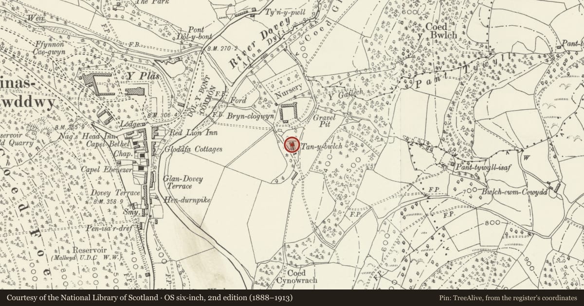 Ordnance Survey six-inch map, 2nd edition (1888–1913) covering the location of Tan-y-bwlch Farmhouse, Mawddwy, Gwynedd, with a pin at the register's coordinates