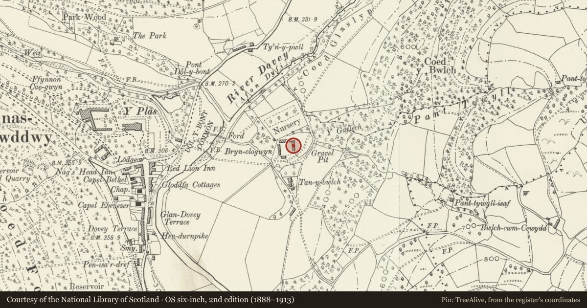Ordnance Survey six-inch map, 2nd edition (1888–1913) covering the location of East range of farm buildings at Tan-y-bwlch, Mawddwy, Gwynedd, with a pin at the register's coordinates