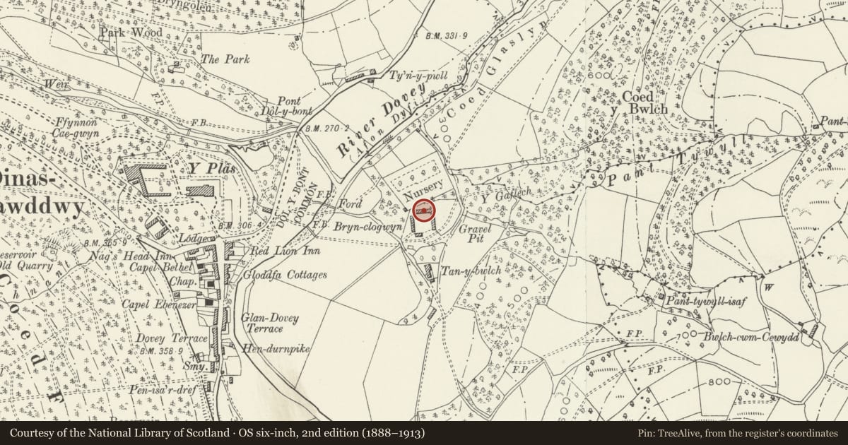Ordnance Survey six-inch map, 2nd edition (1888–1913) covering the location of North range of farm buildings at Tan-y-bwlch, Mawddwy, Gwynedd, with a pin at the register's coordinates