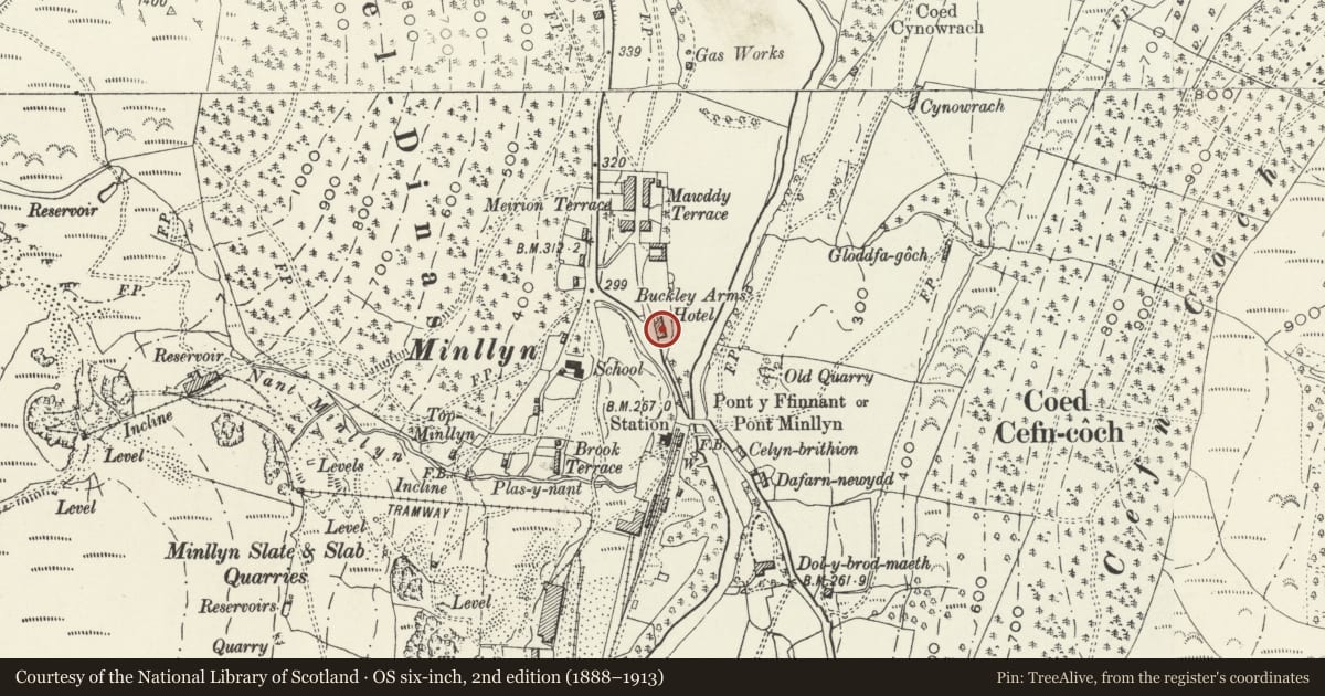 Ordnance Survey six-inch map, 2nd edition (1888–1913) covering the location of Buckley Pines Hotel, Mawddwy, Gwynedd, with a pin at the register's coordinates
