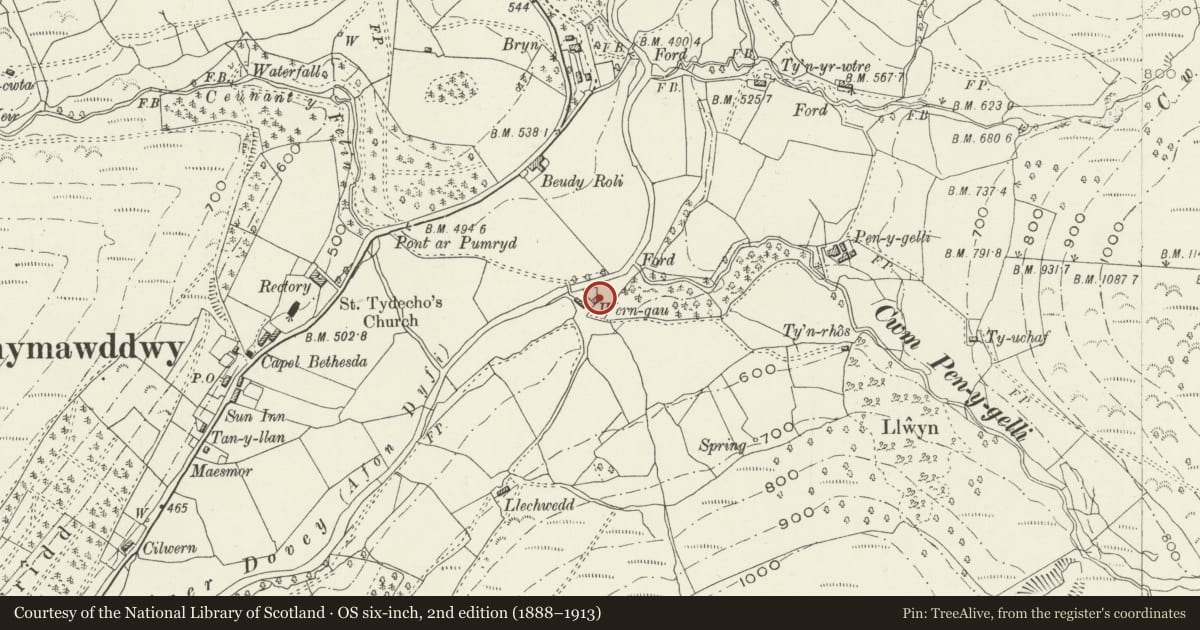 Ordnance Survey six-inch map, 2nd edition (1888–1913) covering the location of Wern-gau, Mawddwy, Gwynedd, with a pin at the register's coordinates