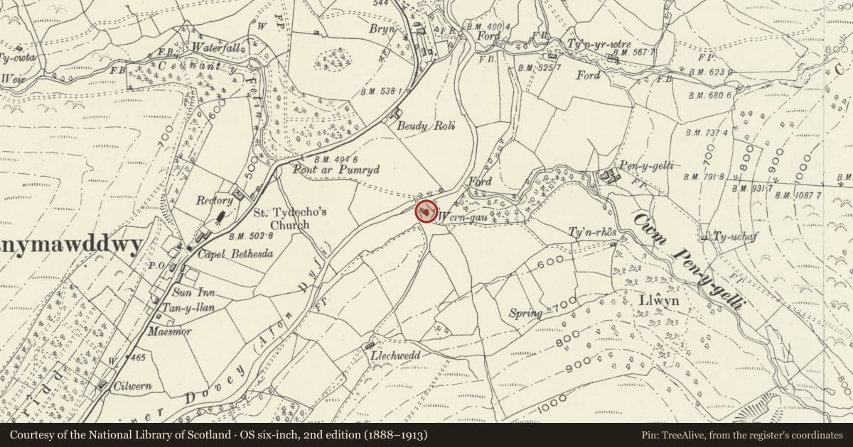 Ordnance Survey six-inch map, 2nd edition (1888–1913) covering the location of Farm building at Wern-gau, Mawddwy, Gwynedd, with a pin at the register's coordinates