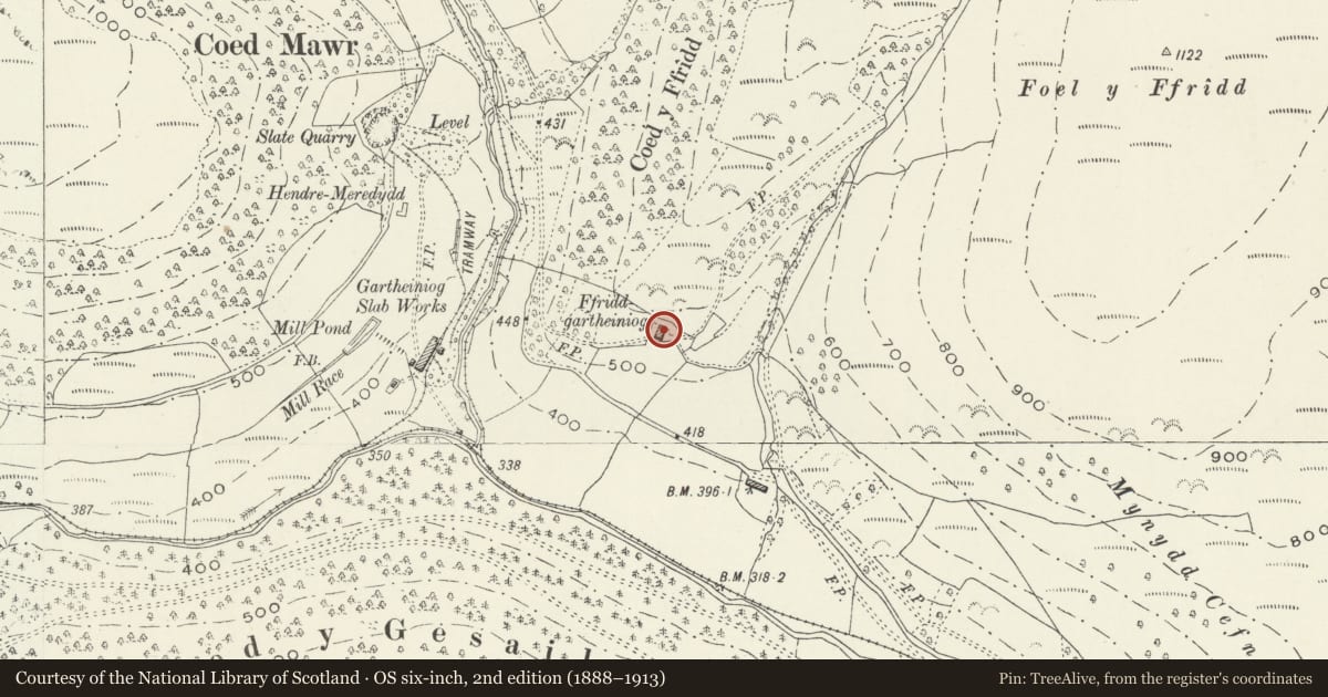 Ordnance Survey six-inch map, 2nd edition (1888–1913) covering the location of Ffridd, Mawddwy, Gwynedd, with a pin at the register's coordinates