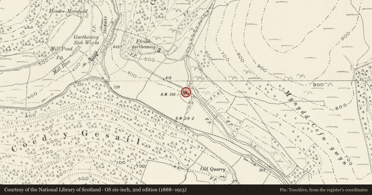 Ordnance Survey six-inch map, 2nd edition (1888–1913) covering the location of Field barn below Ffridd, Mawddwy, Gwynedd, with a pin at the register's coordinates
