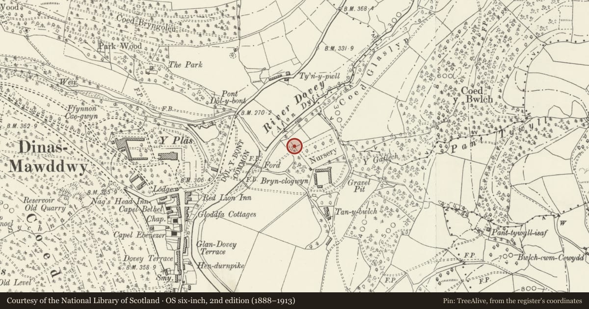Ordnance Survey six-inch map, 2nd edition (1888–1913) covering the location of Garden walls at Tan-y-bwlch, Mawddwy, Gwynedd, with a pin at the register's coordinates