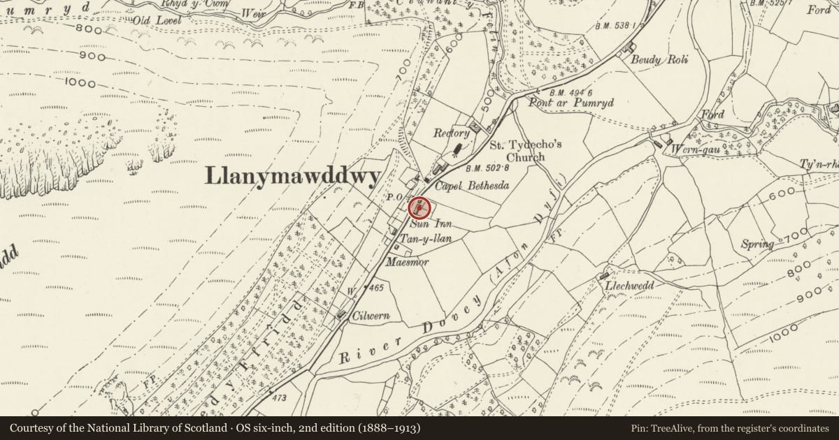 Ordnance Survey six-inch map, 2nd edition (1888–1913) covering the location of Ty-isaf, Mawddwy, Gwynedd, with a pin at the register's coordinates