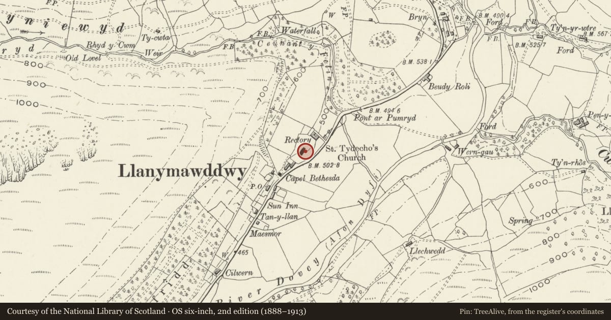 Ordnance Survey six-inch map, 2nd edition (1888–1913) covering the location of Lloyd Chest Tomb at the Church of St Tydecho, Mawddwy, Gwynedd, with a pin at the register's coordinates