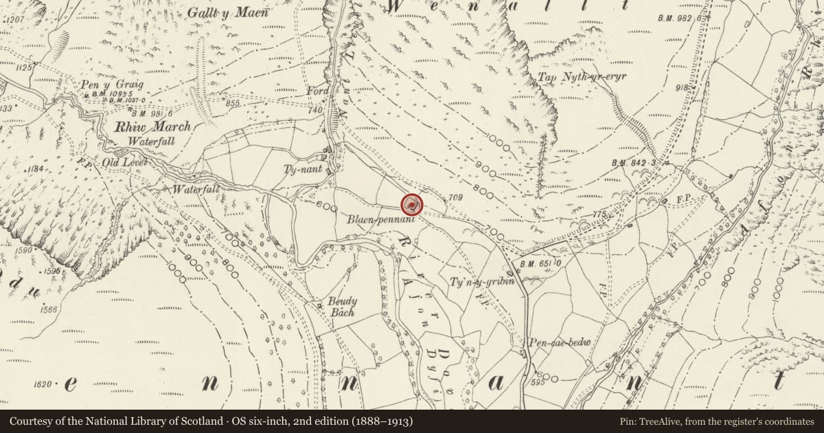 Ordnance Survey six-inch map, 2nd edition (1888–1913) covering the location of Blaen Pennant, Mawddwy, Gwynedd, with a pin at the register's coordinates