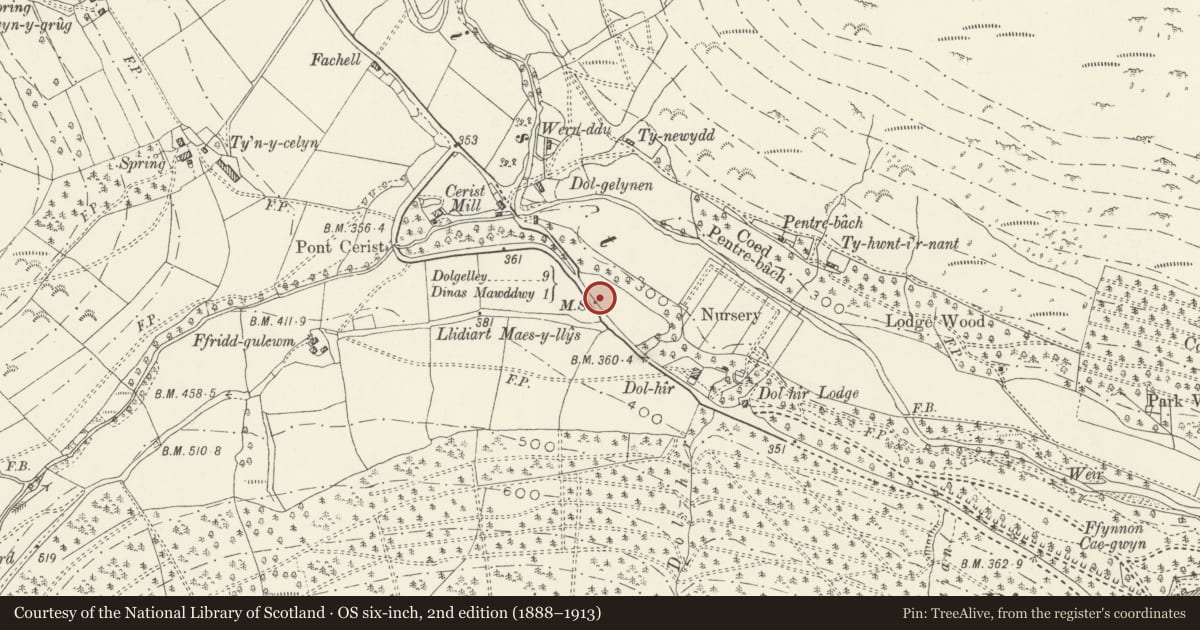 Ordnance Survey six-inch map, 2nd edition (1888–1913) covering the location of Milepost, Mawddwy, Gwynedd, with a pin at the register's coordinates
