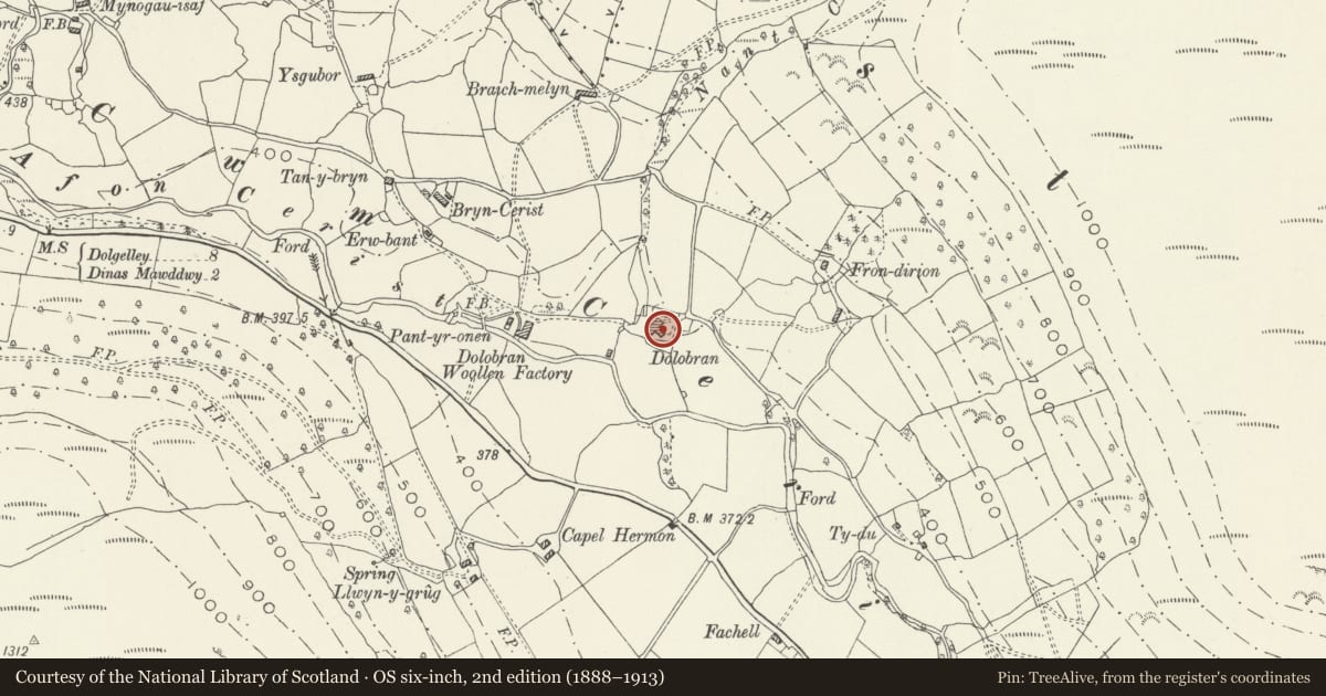 Ordnance Survey six-inch map, 2nd edition (1888–1913) covering the location of Dolobran, Mawddwy, Gwynedd, with a pin at the register's coordinates
