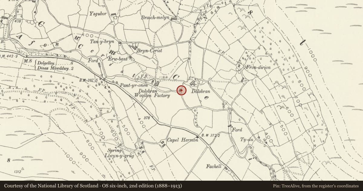 Ordnance Survey six-inch map, 2nd edition (1888–1913) covering the location of Pandy at Dolobran, Mawddwy, Gwynedd, with a pin at the register's coordinates