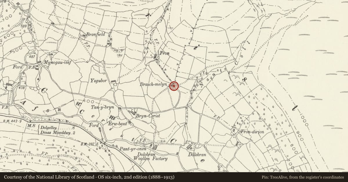 Ordnance Survey six-inch map, 2nd edition (1888–1913) covering the location of Braich-melyn, Mawddwy, Gwynedd, with a pin at the register's coordinates