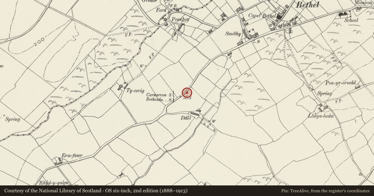 Ordnance Survey six-inch map, 2nd edition (1888–1913) covering the location of Milestone, Llanddeiniolen, Gwynedd, with a pin at the register's coordinates