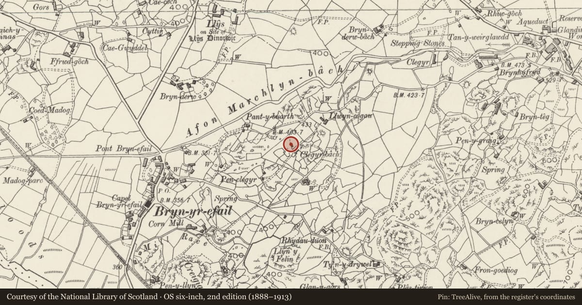 Ordnance Survey six-inch map, 2nd edition (1888–1913) covering the location of Pen y Clogwyn, Llanddeiniolen, Gwynedd, with a pin at the register's coordinates
