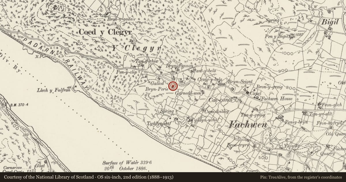 Ordnance Survey six-inch map, 2nd edition (1888–1913) covering the location of Bron Ceris, Llanddeiniolen, Gwynedd, with a pin at the register's coordinates