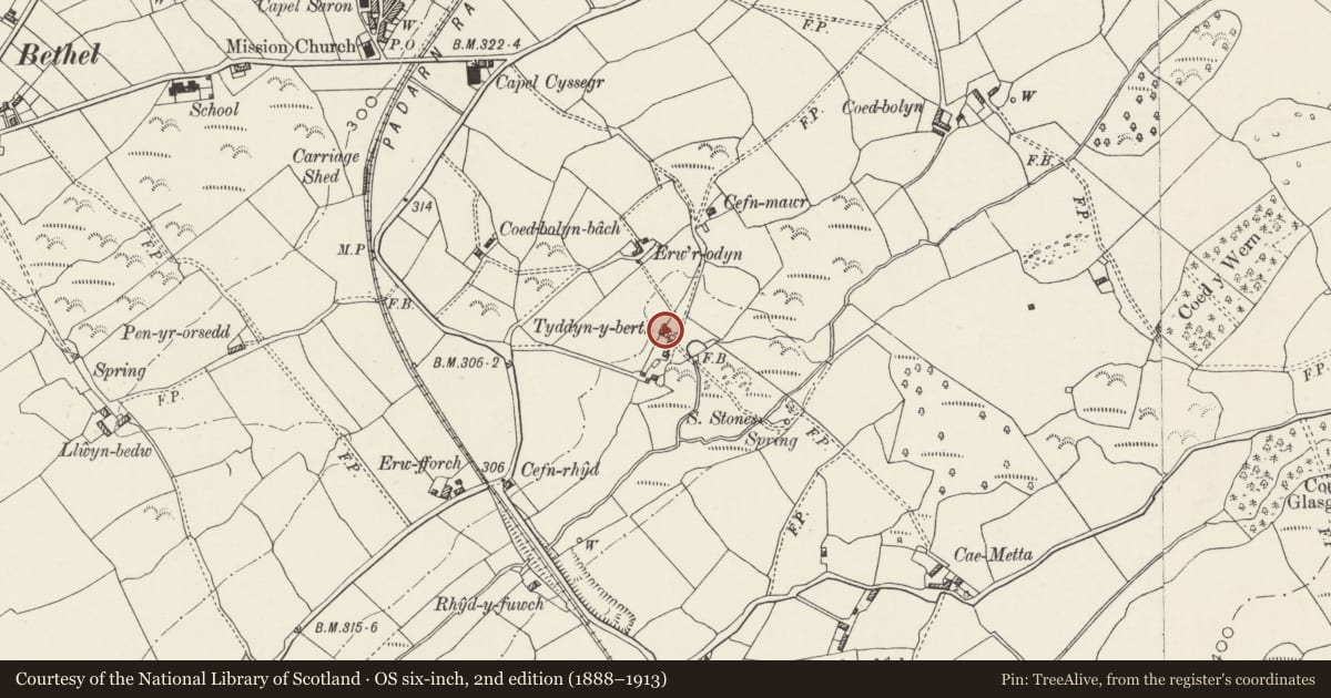 Ordnance Survey six-inch map, 2nd edition (1888–1913) covering the location of Tyddyn-y-berth, Llanddeiniolen, Gwynedd, with a pin at the register's coordinates