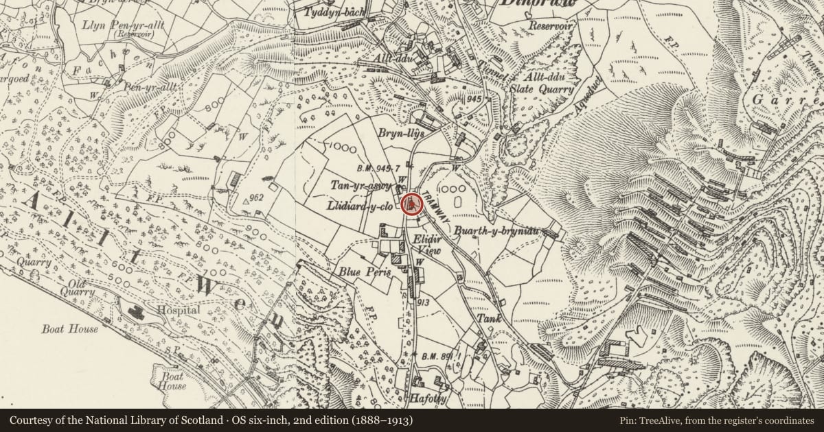 Ordnance Survey six-inch map, 2nd edition (1888–1913) covering the location of Tanybryn, Llanddeiniolen, Gwynedd, with a pin at the register's coordinates